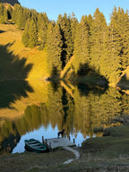 No Francijas dabas līdz Šveices Gruyeres sieram un šokolādes aromātam