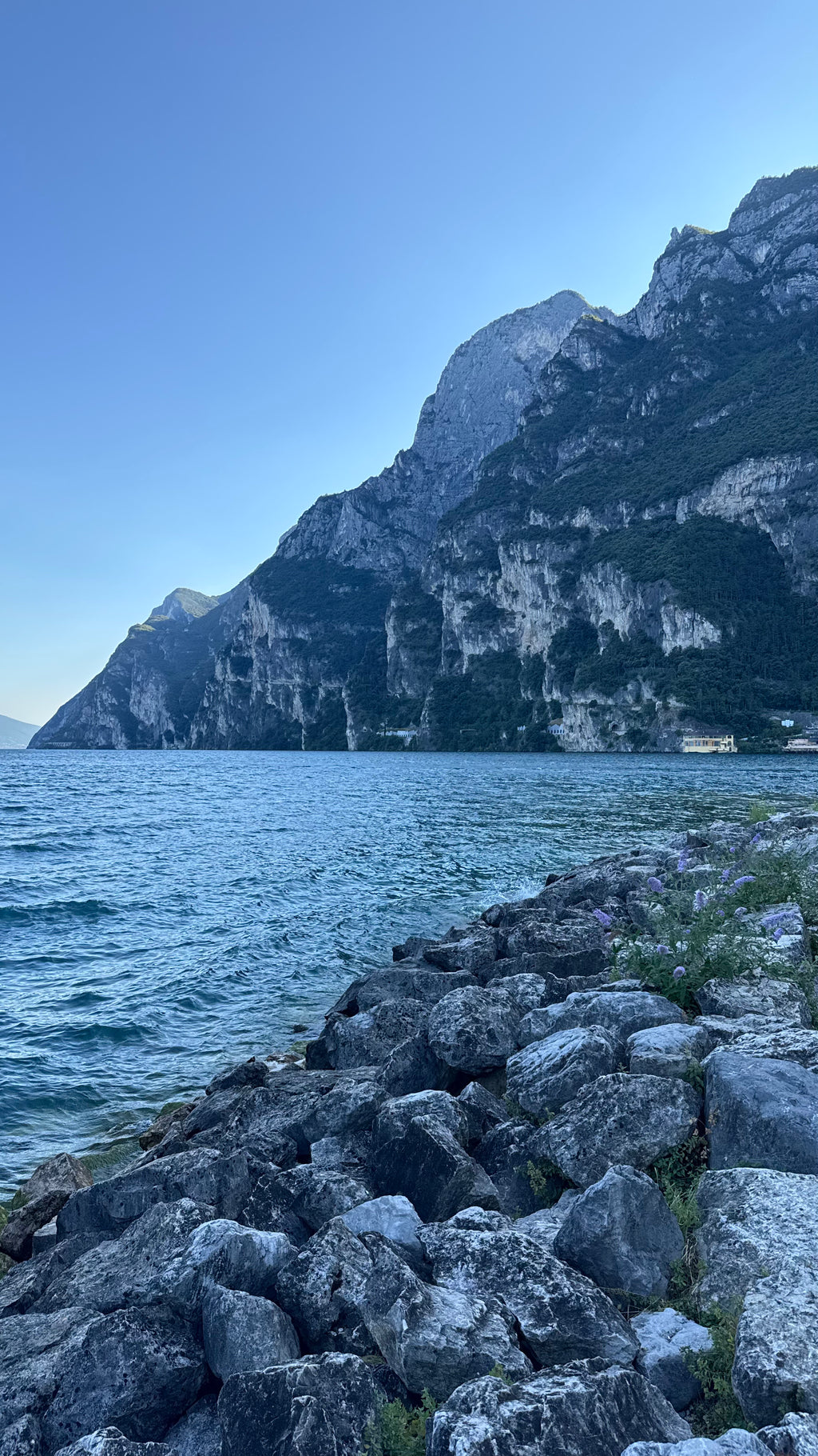 Pavasara elpa pie Gardas ezera