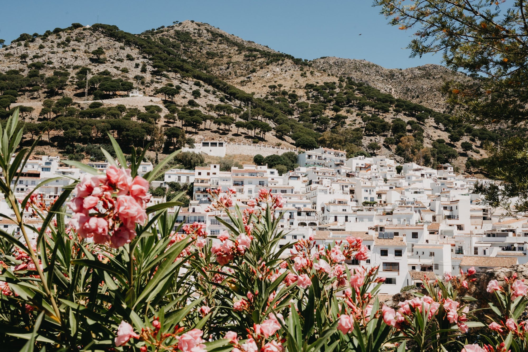 Ziemas saules pieskāriens Andalūzijā