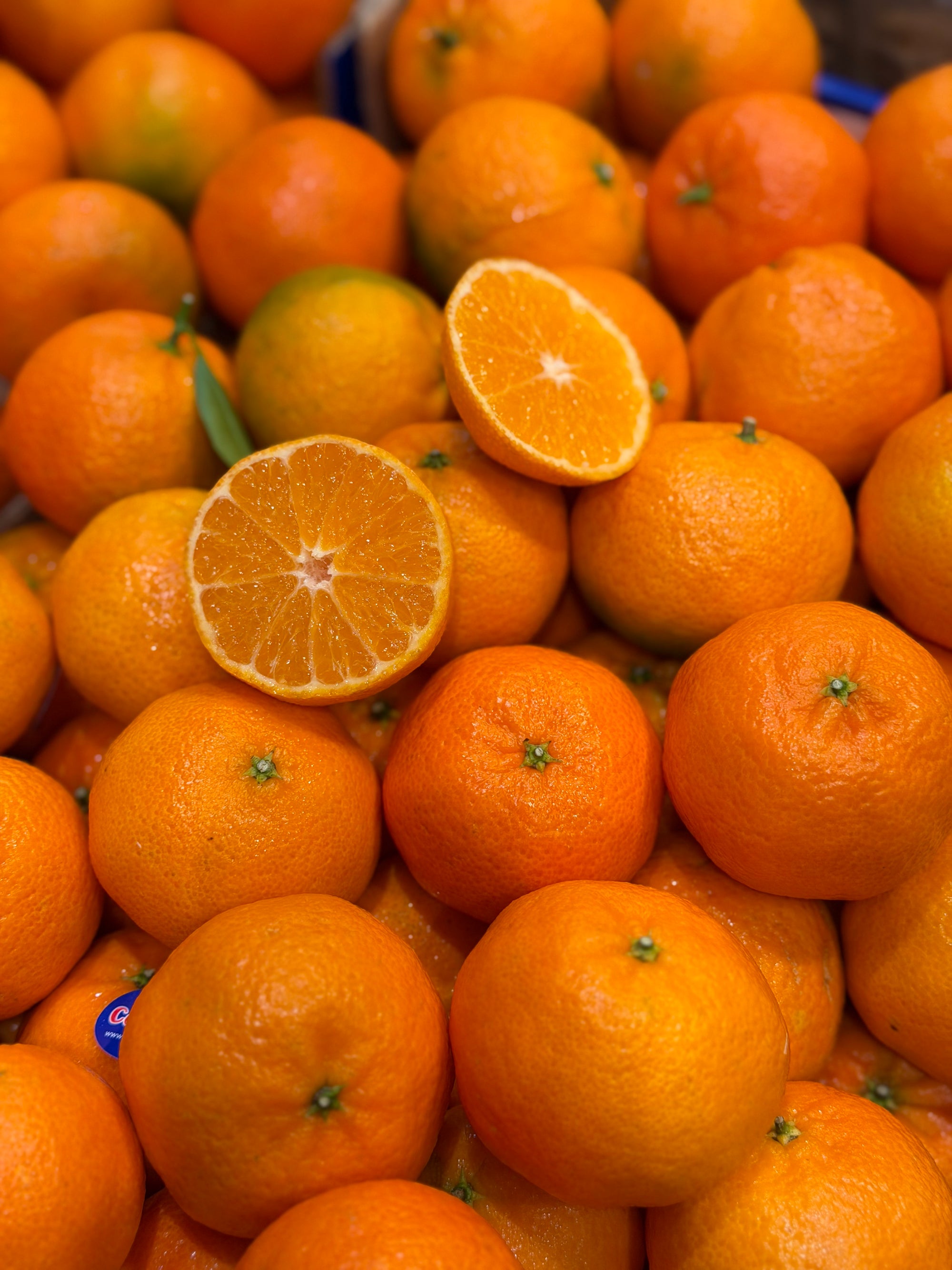 Ceļojums uz Toskānu Itālijā - vasaras noslēgumā