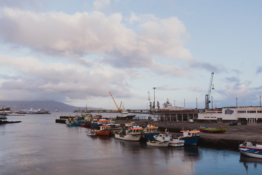 Atlantijas zaļā sala: mierpilns piedzīvojums Sao Miguel (caur Porto)