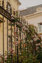 Noskaņas, skati un piedzīvojumi – Lisabona aicina