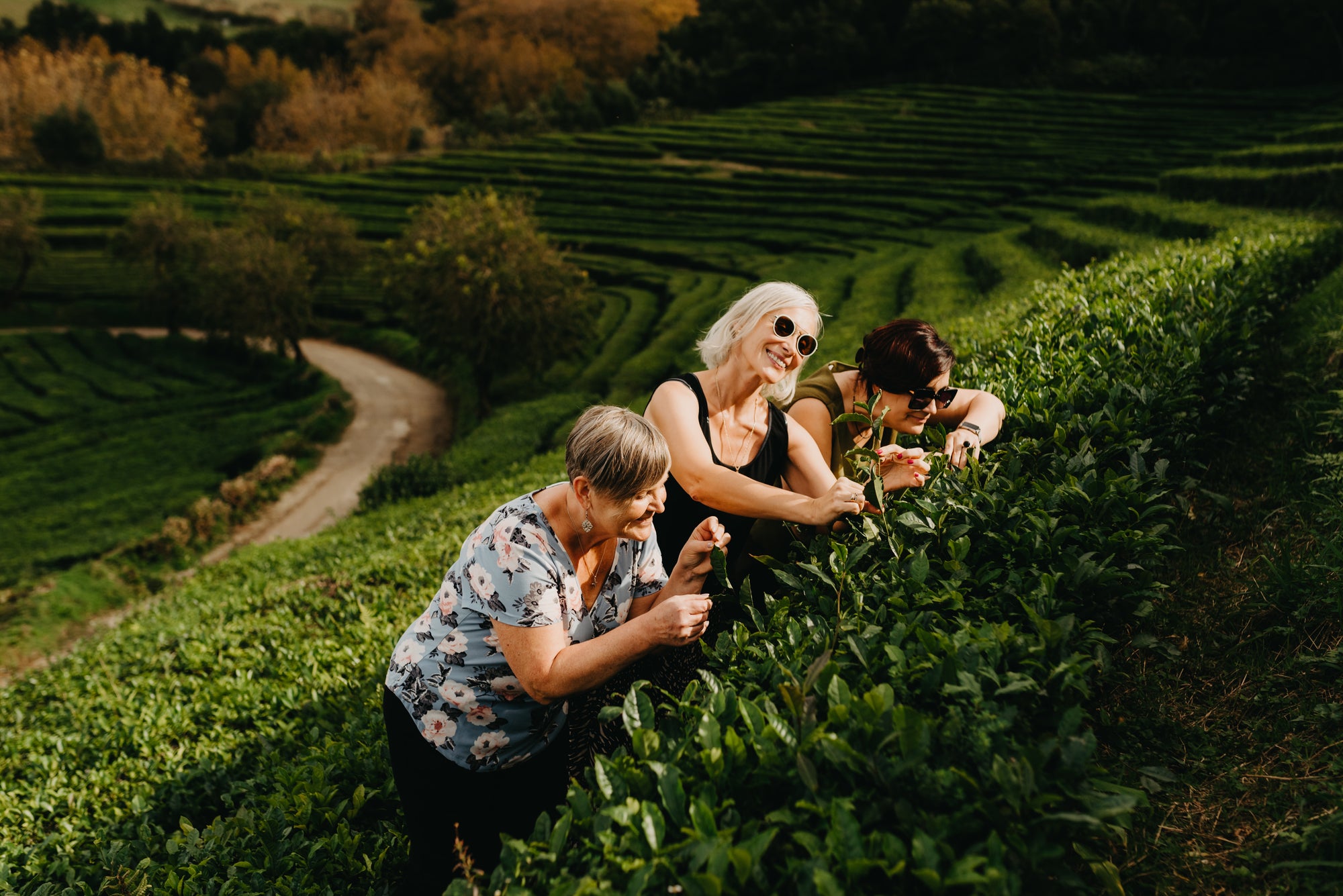 Paradīzes sala Sanmigel (Azoras) caur Porto