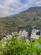No ciemata uz ciematu: pārgājiens Cinque Terre, Itālija