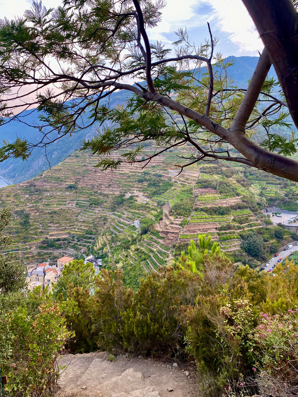 No ciemata uz ciematu: pārgājiens Cinque Terre, Itālija
