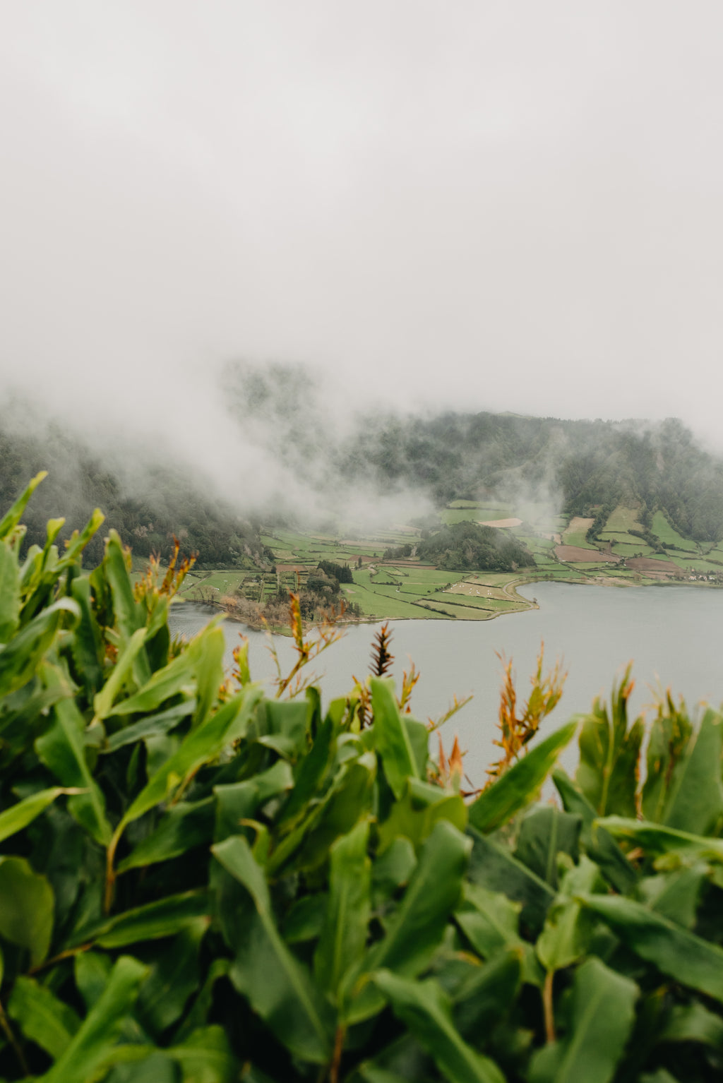 Paradīzes sala Sanmigel (Azoras) caur Porto