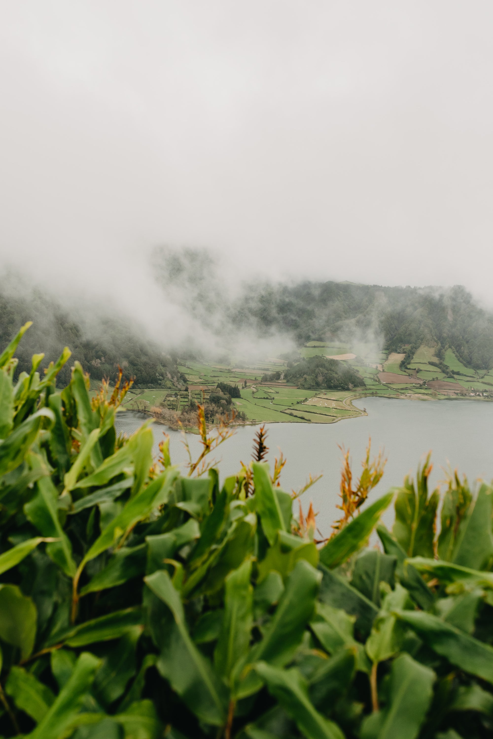Paradīzes sala Sanmigel (Azoras) caur Porto