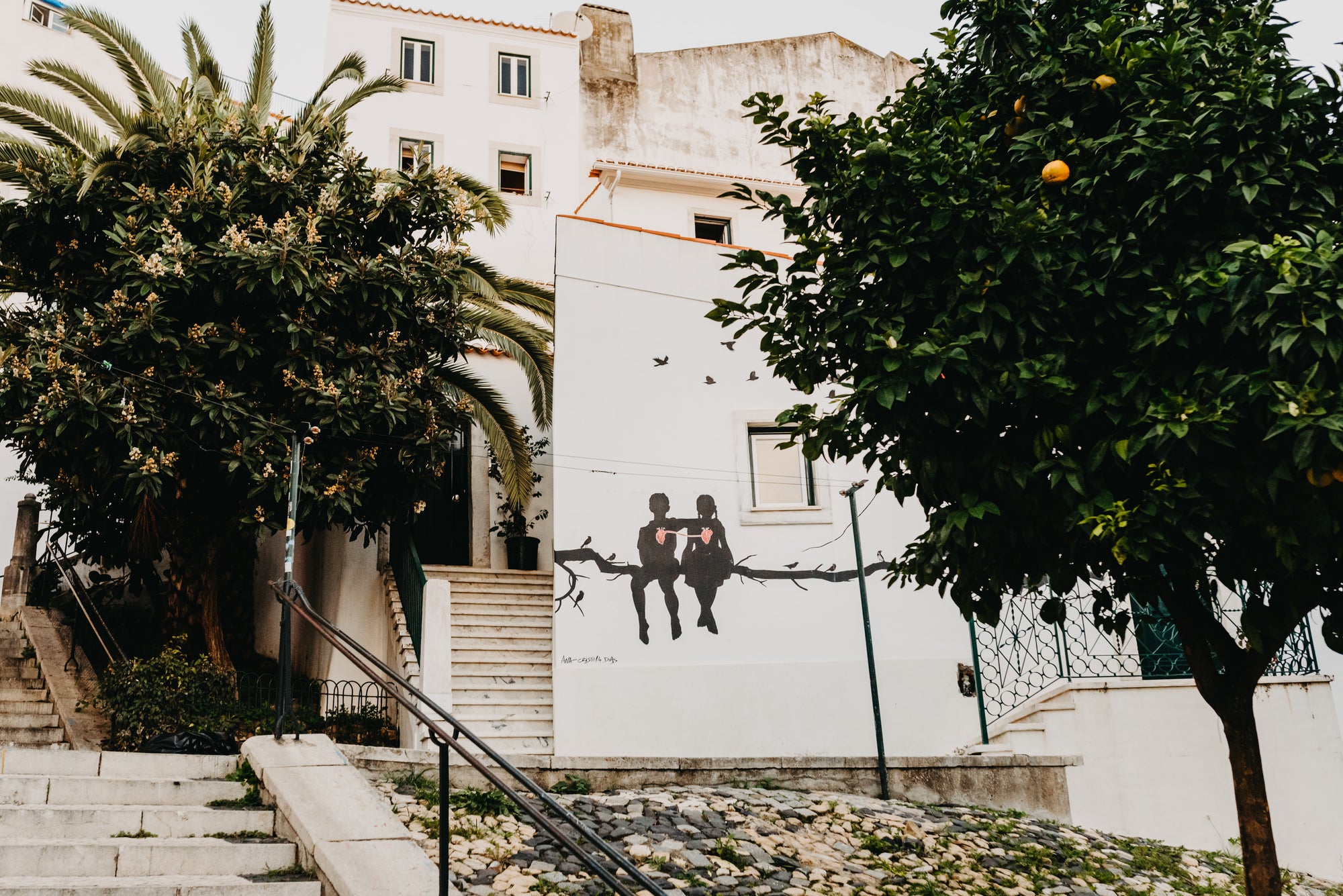 Paradīzes sala Sanmigel (Azoras) caur Porto