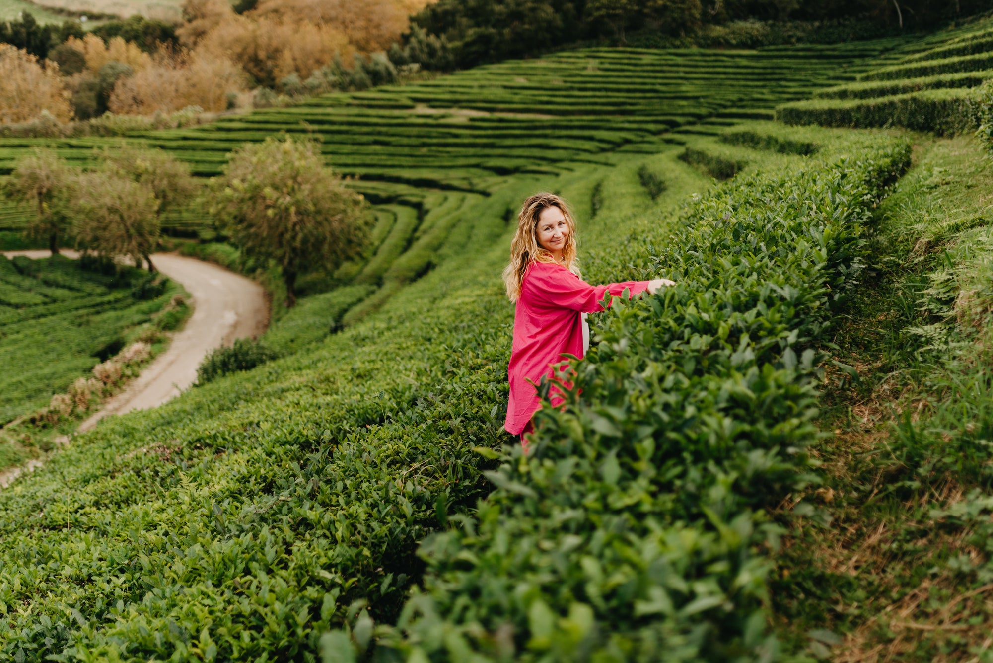 Paradīzes sala Sanmigel (Azoras) caur Porto