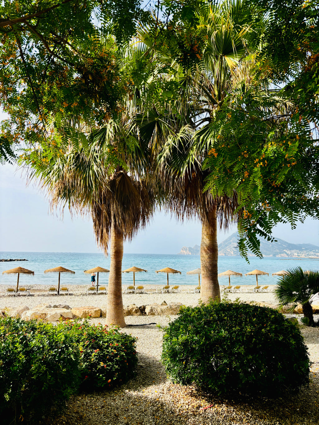 Vasaras sākums Spānijā: Vidusjūra un Tabarca