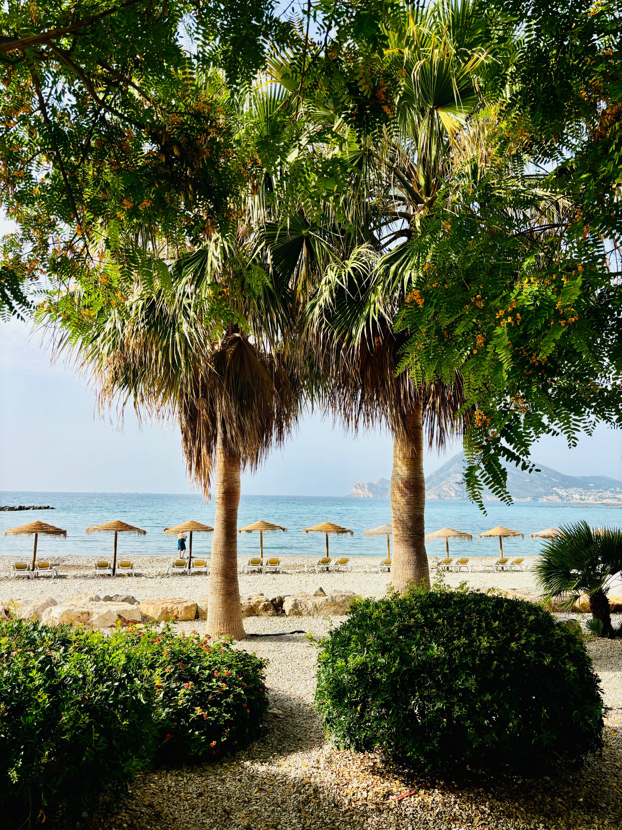 Vasaras sākums Spānijā: Vidusjūra un Tabarca