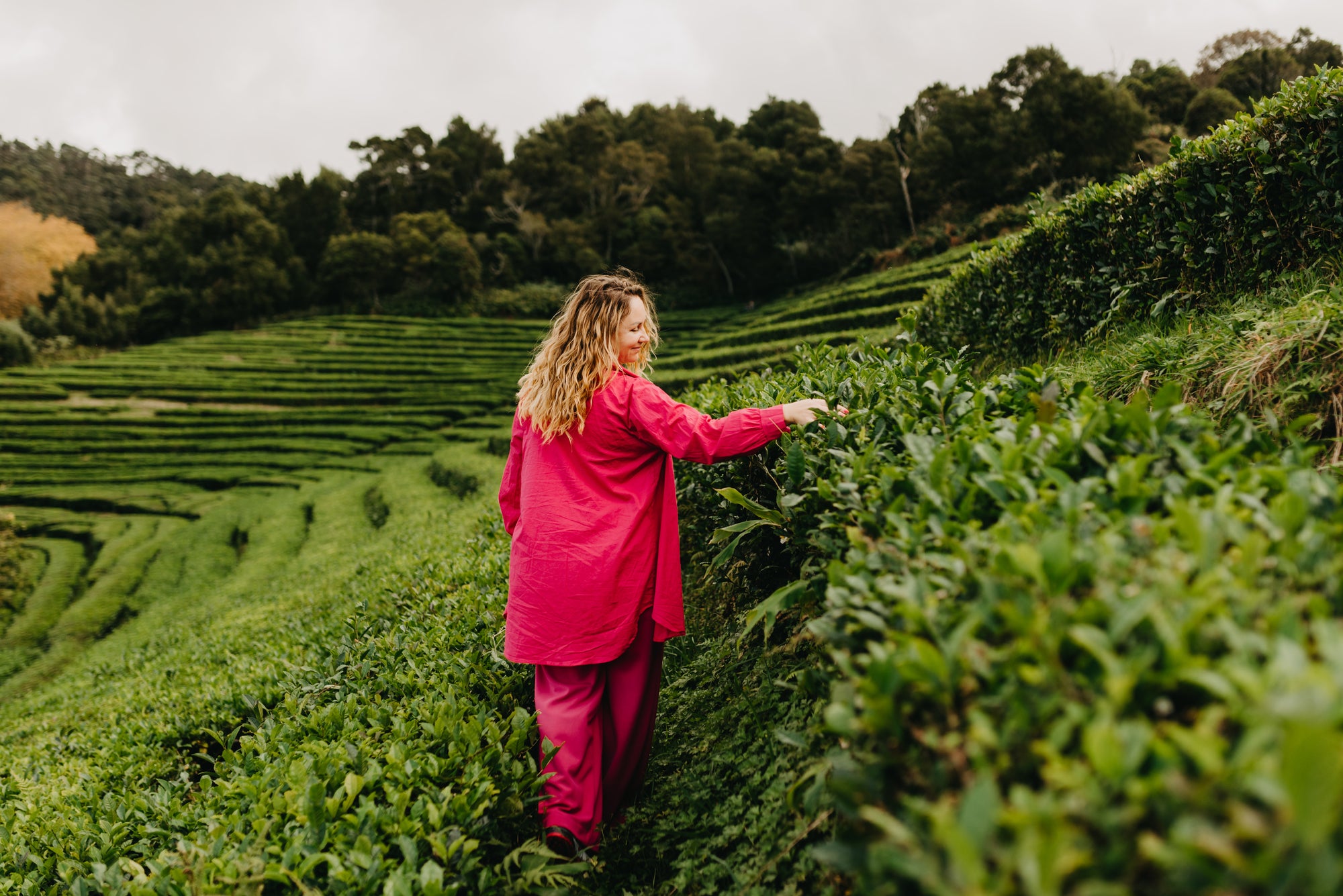 Paradīzes sala Sanmigel (Azoras) caur Porto