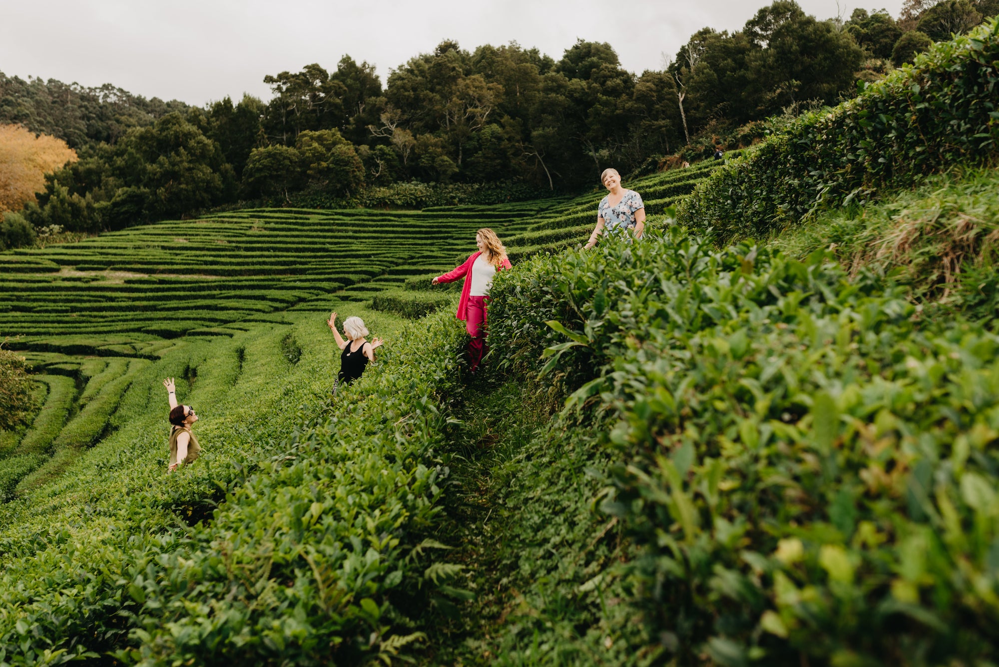 Paradīzes sala Sanmigel (Azoras) caur Porto