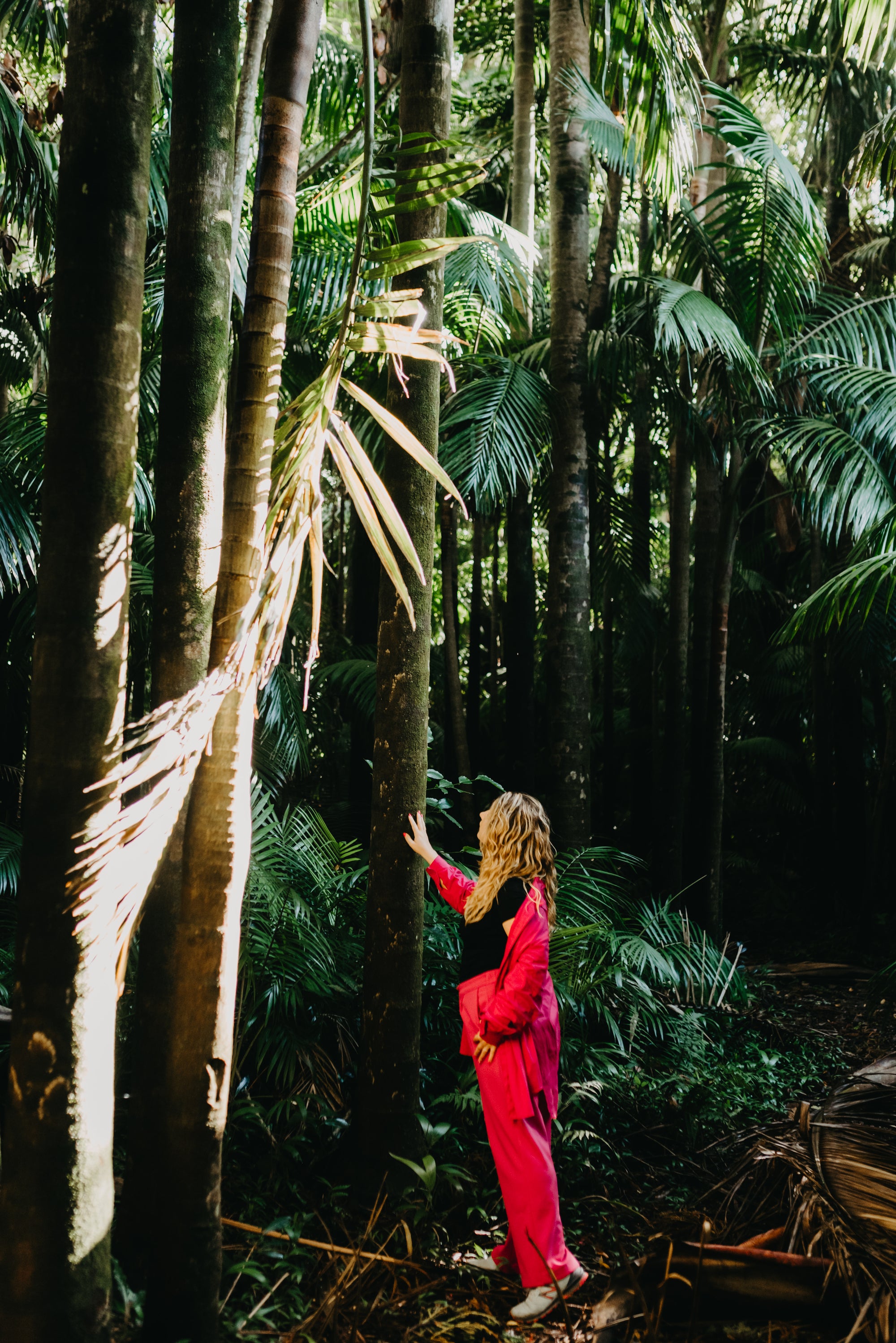 Paradīzes sala Sanmigel (Azoras) caur Porto