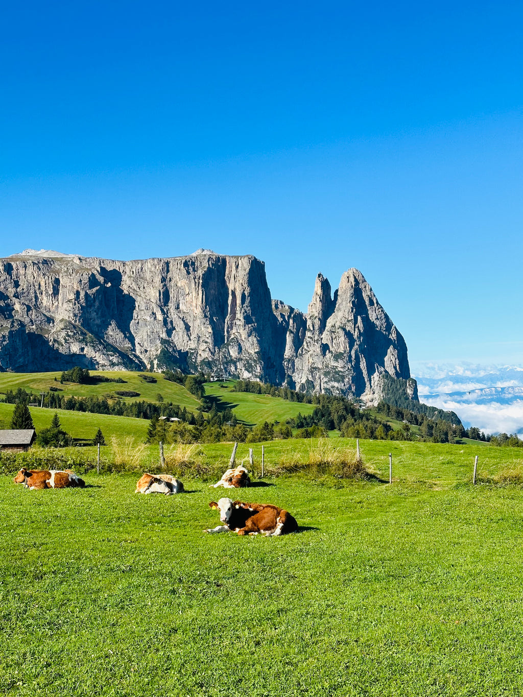 dolomīti itālija ceļojums uz itāliju ceļojums uz dolomītiem kalni alpi