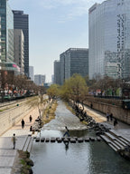 Dienvidkoreja
