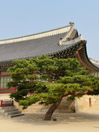 Dienvidkoreja