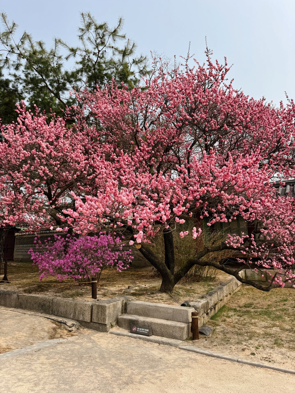 Dienvidkoreja