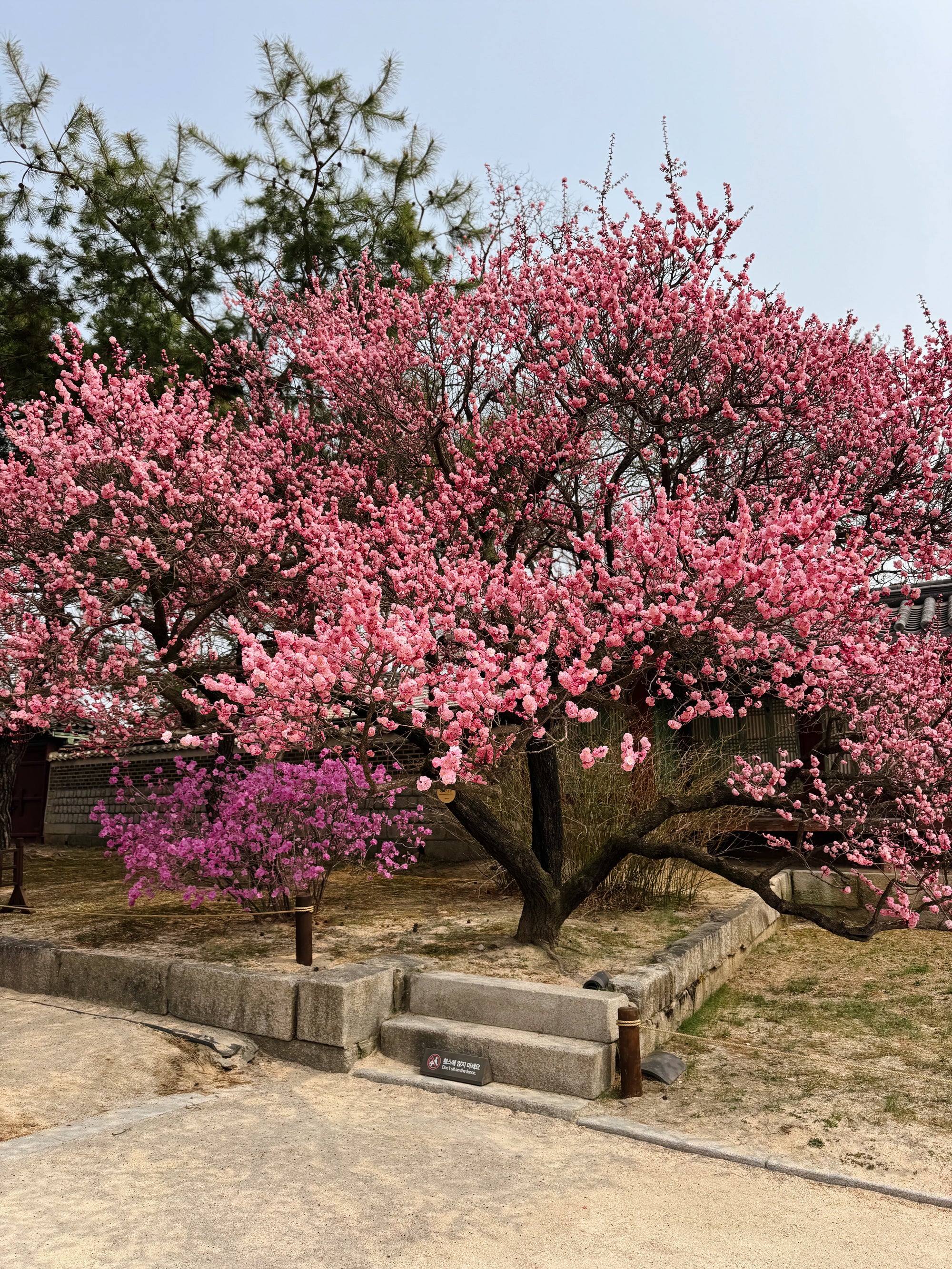 Dienvidkoreja