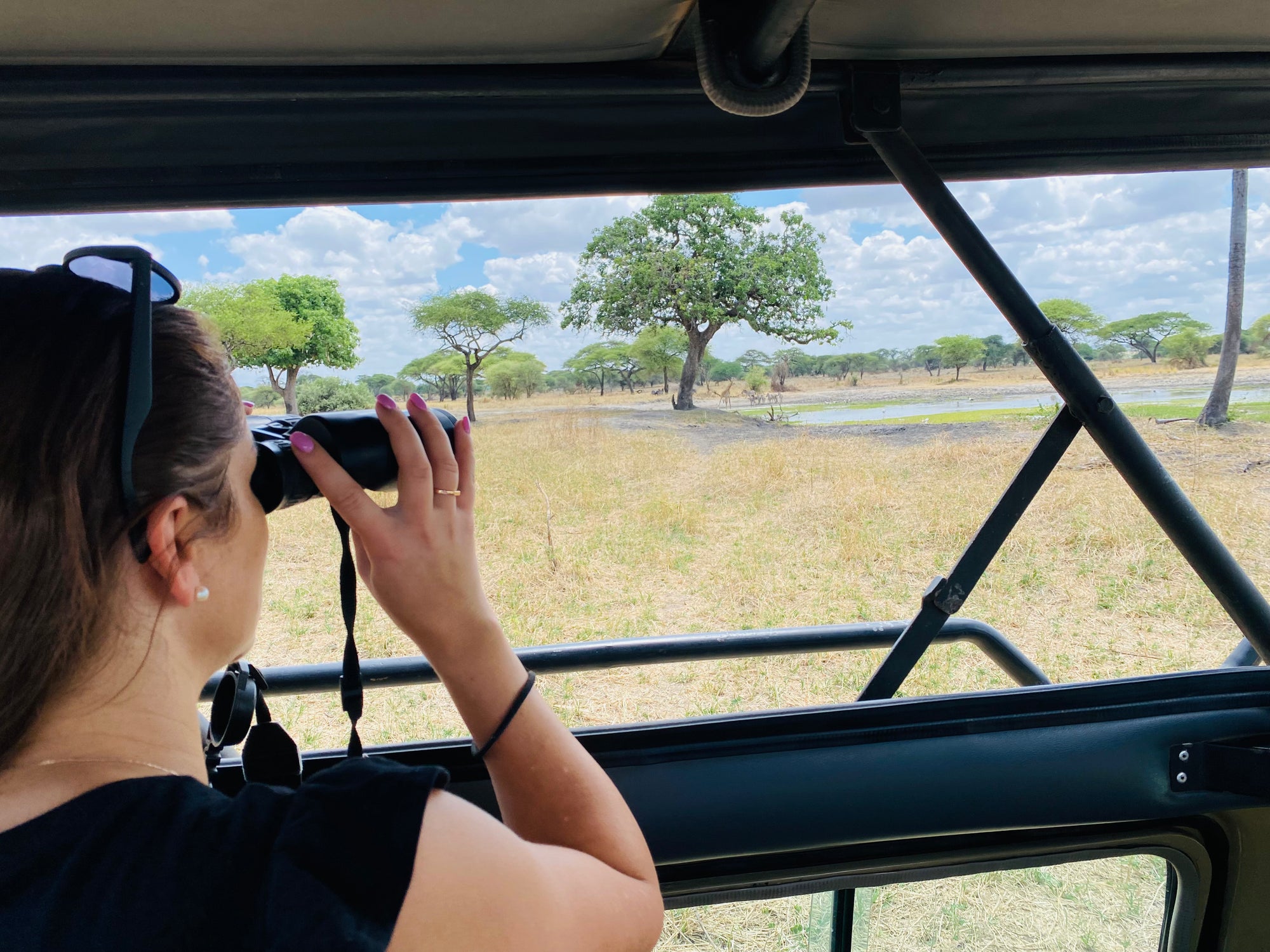 Āfrikas pērle: Tanzānijas safari un Zanzibāras okeāna miers