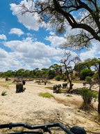 Āfrikas pērle: Tanzānijas safari un Zanzibāras okeāna miers