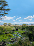 Āfrikas pērle: Tanzānijas safari un Zanzibāras okeāna miers