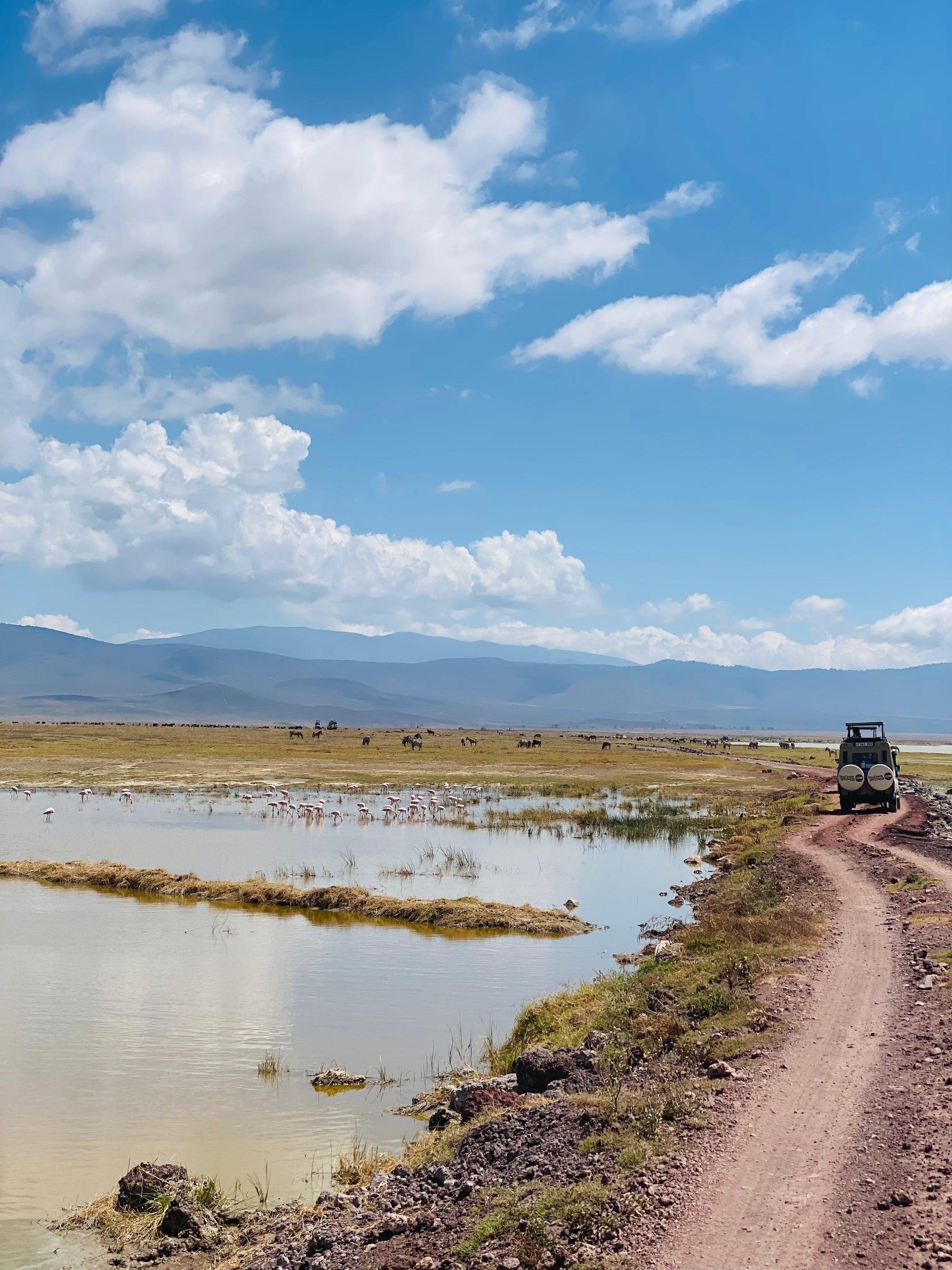 Āfrikas pērle: Tanzānijas safari un Zanzibāras okeāna miers