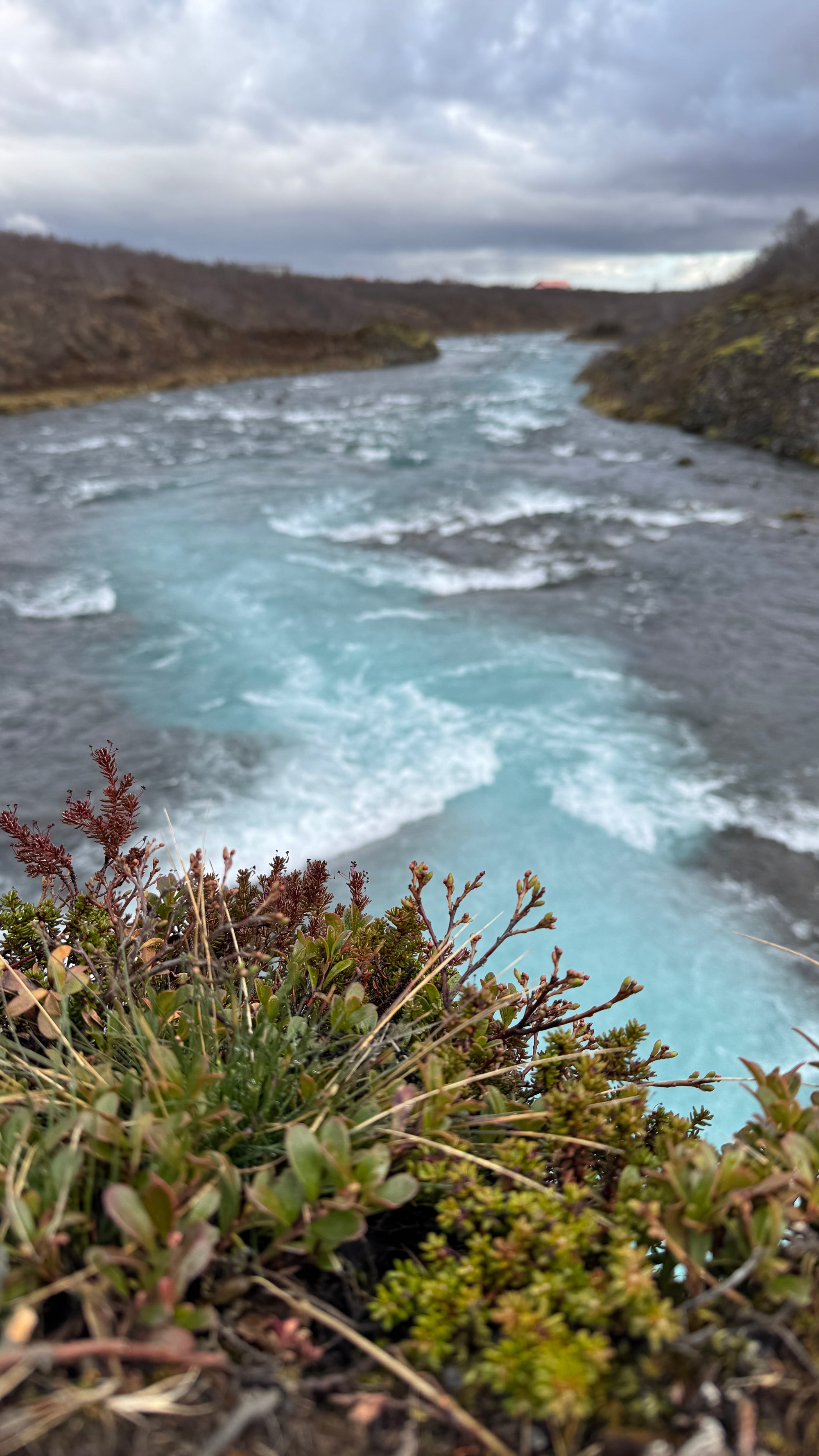 Islandes ziemas pasaka