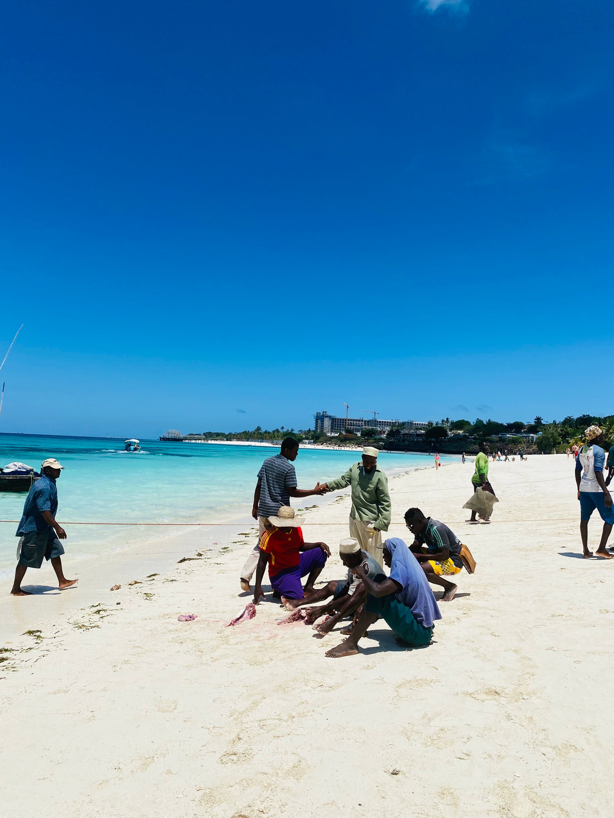 Āfrikas pērle: Tanzānijas safari un Zanzibāras okeāna miers