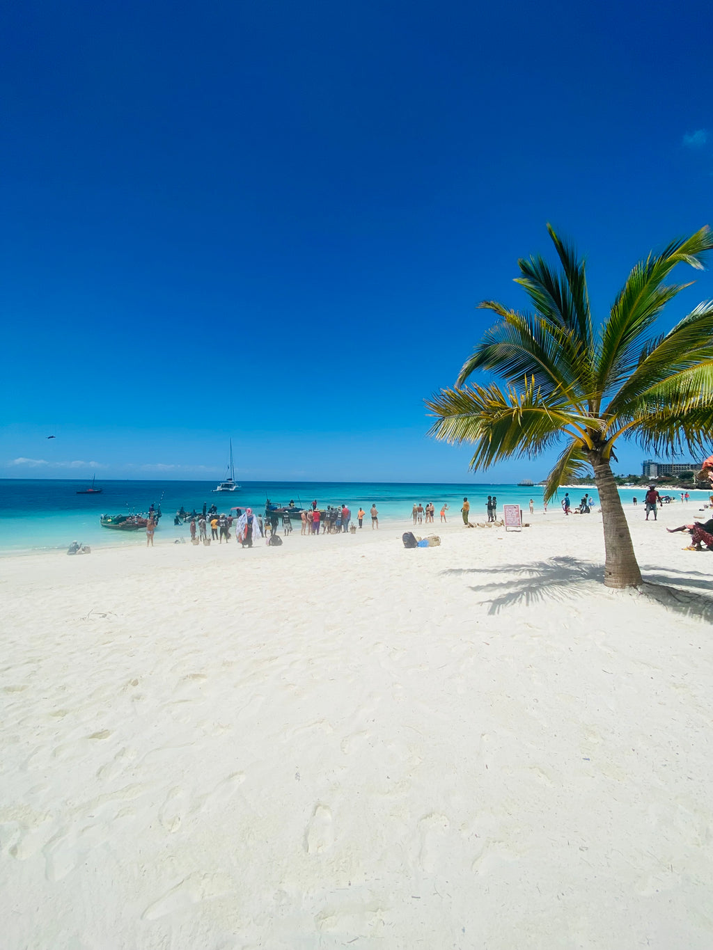 Āfrikas pērle: Tanzānijas safari un Zanzibāras okeāna miers
