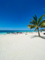 Āfrikas pērle: Tanzānijas safari un Zanzibāras okeāna miers