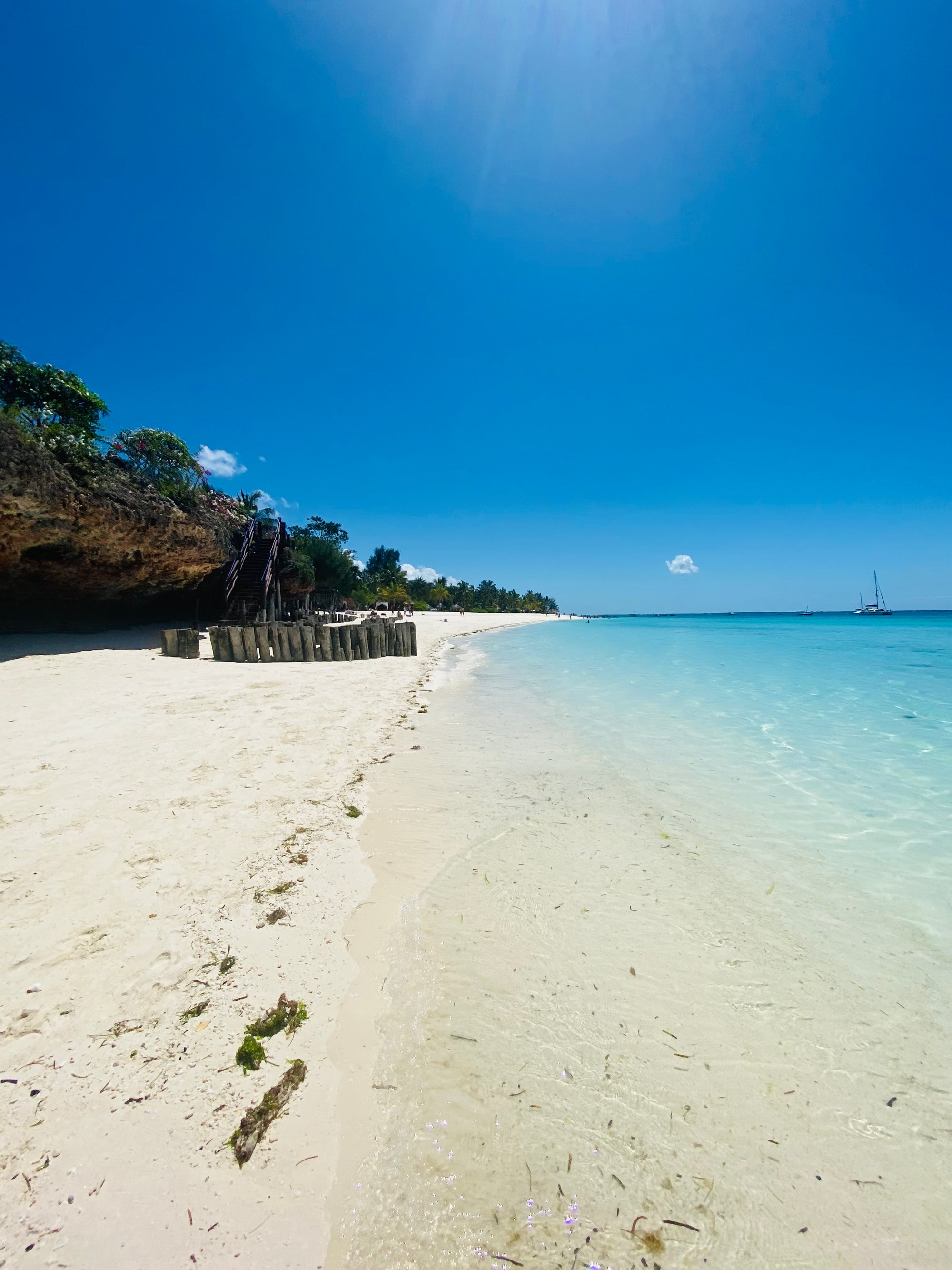 Āfrikas pērle: Tanzānijas safari un Zanzibāras okeāna miers