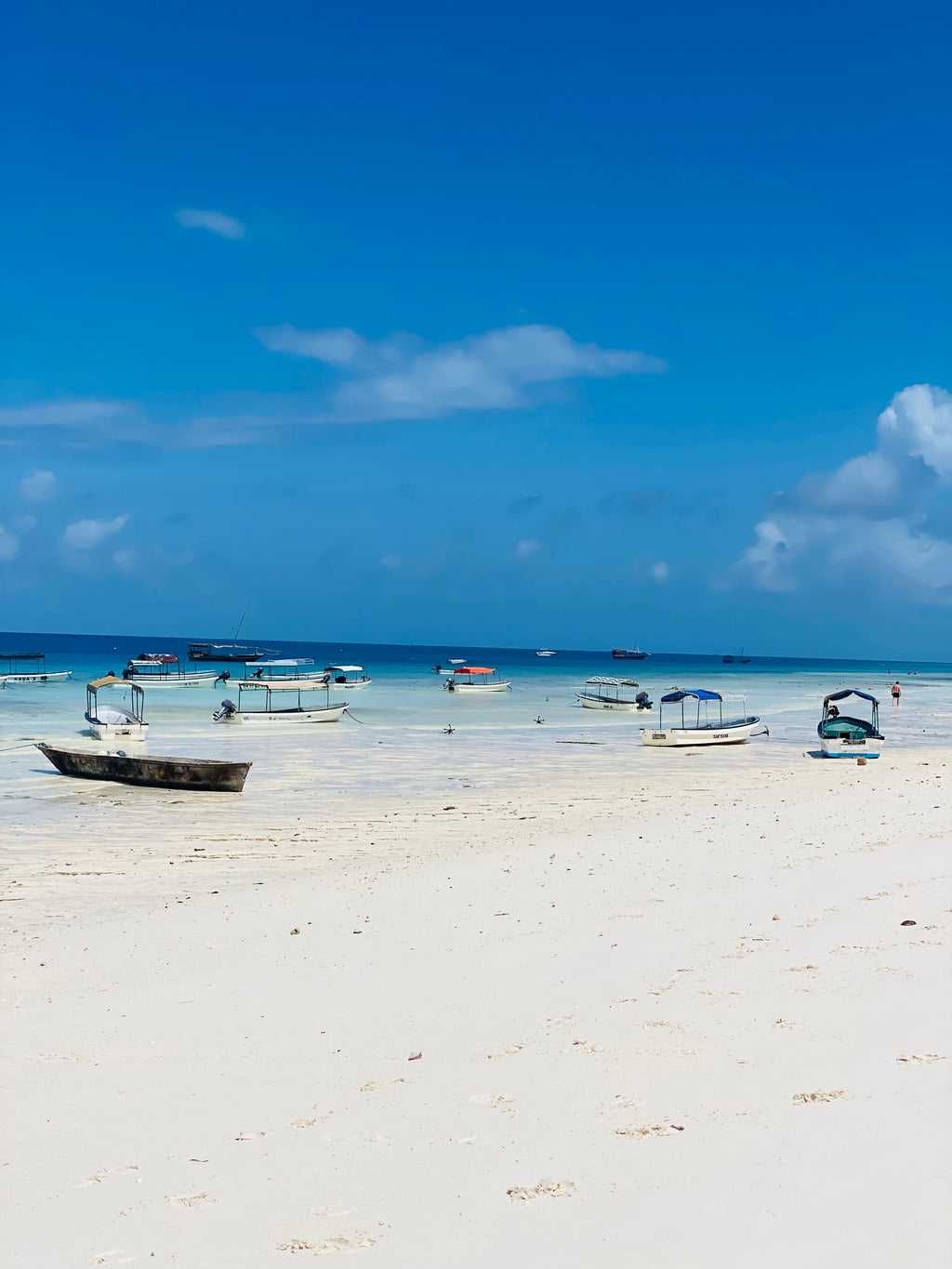 Āfrikas pērle: Tanzānijas safari un Zanzibāras okeāna miers