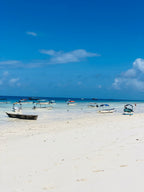 Āfrikas pērle: Tanzānijas safari un Zanzibāras okeāna miers