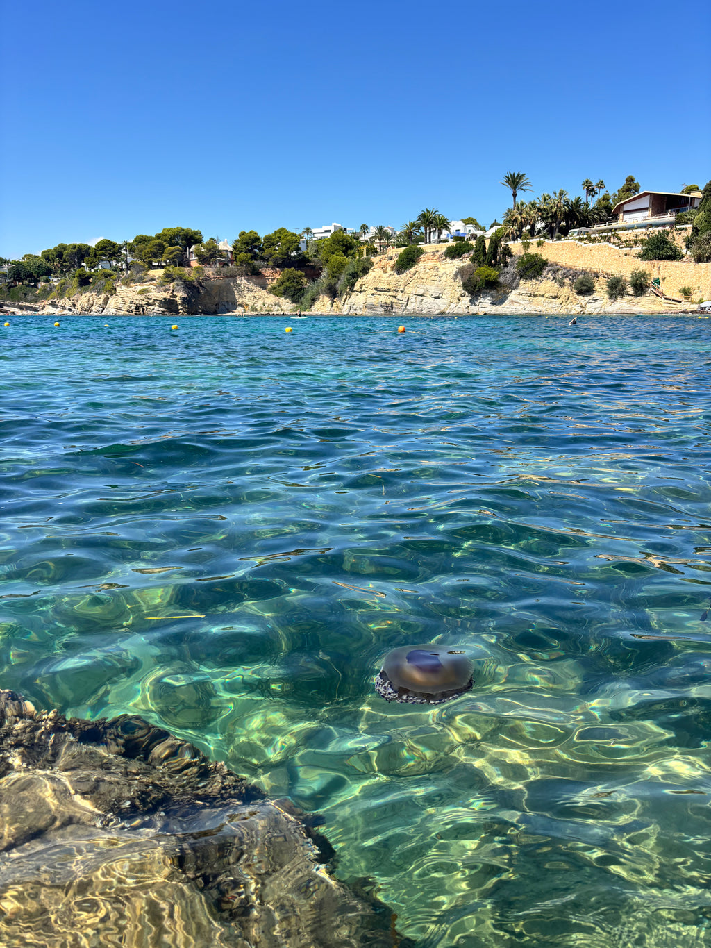 Vasaras sākums Spānijā: Vidusjūra un Tabarca