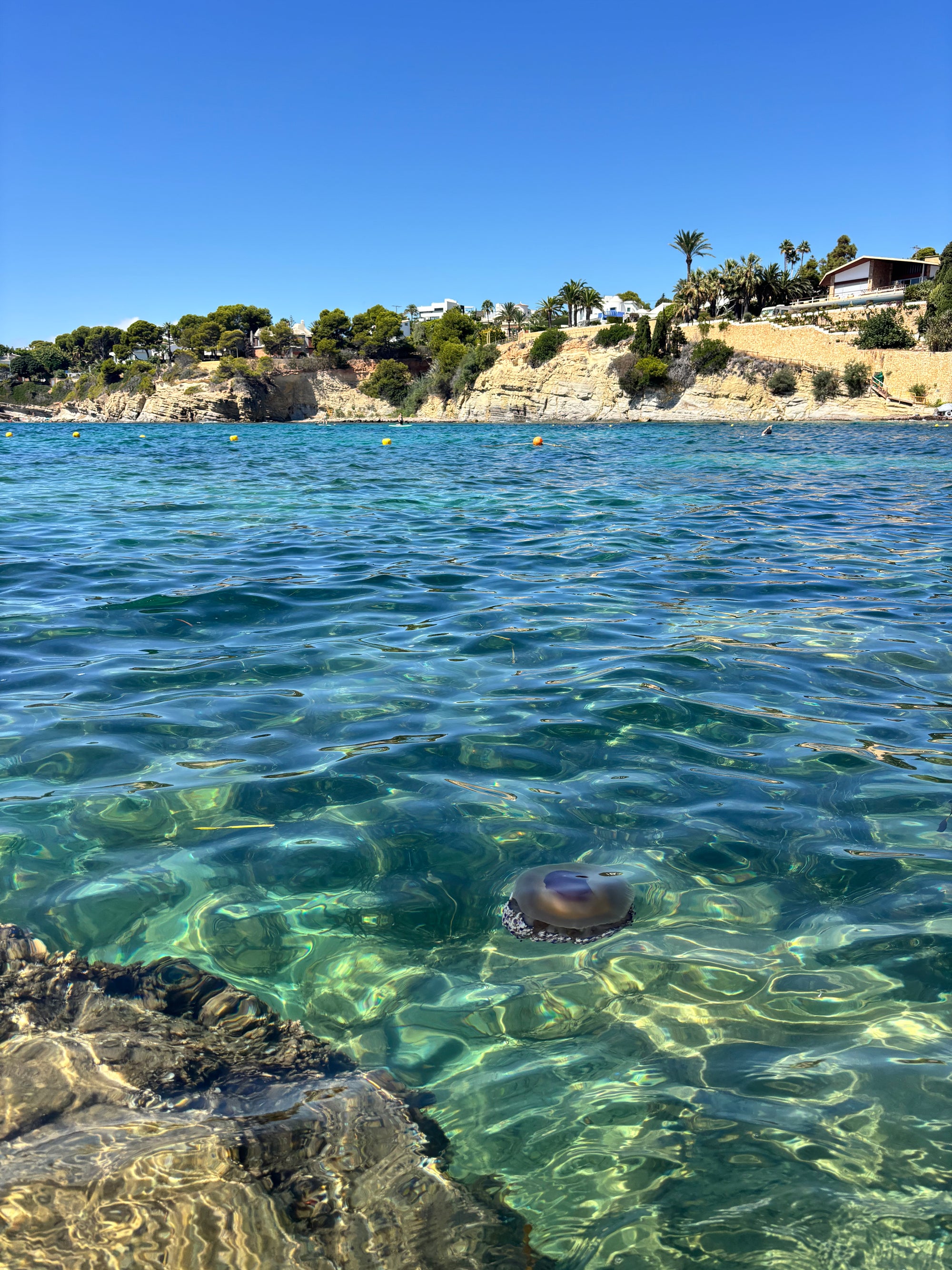 Vasaras sākums Spānijā: Vidusjūra un Tabarca