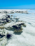 Āfrikas pērle: Tanzānijas safari un Zanzibāras okeāna miers