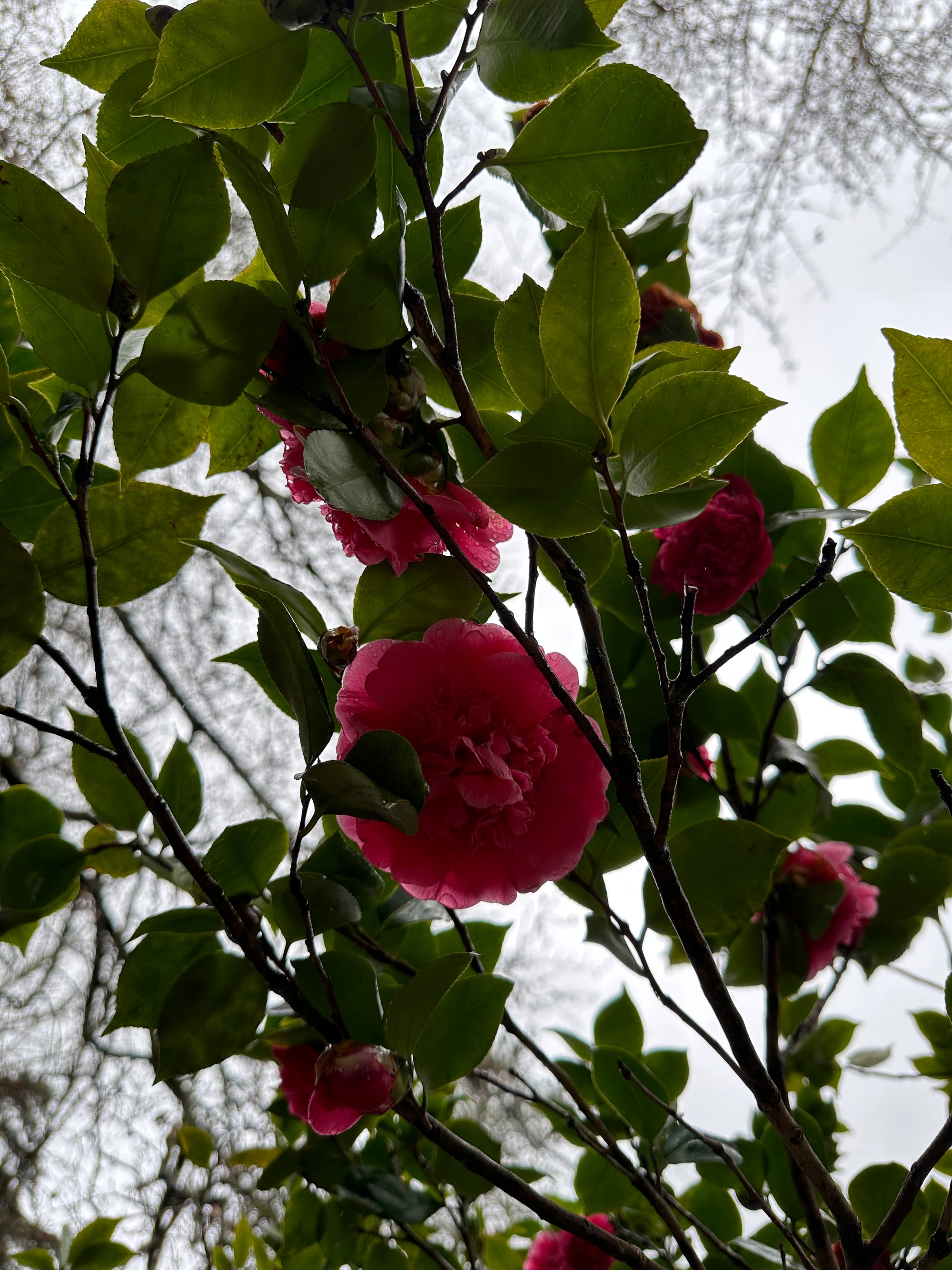 Starp okeānu un flīžu stāstiem – Portugāles sajūta Lisabonā