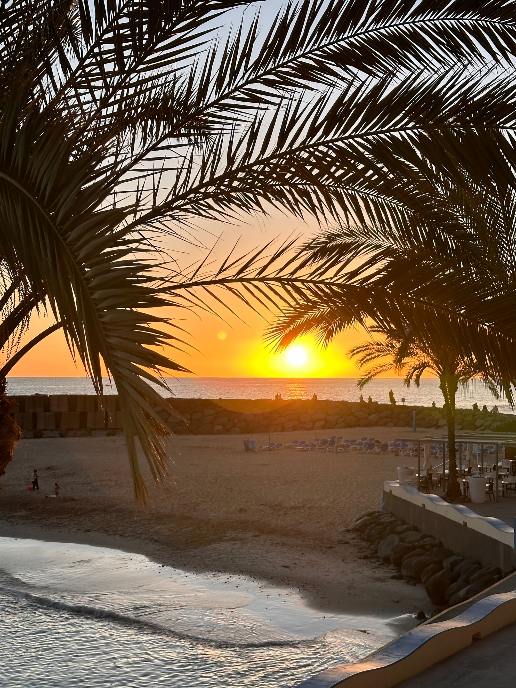 Tavs aktīvais piedzīvojums Madeirā!