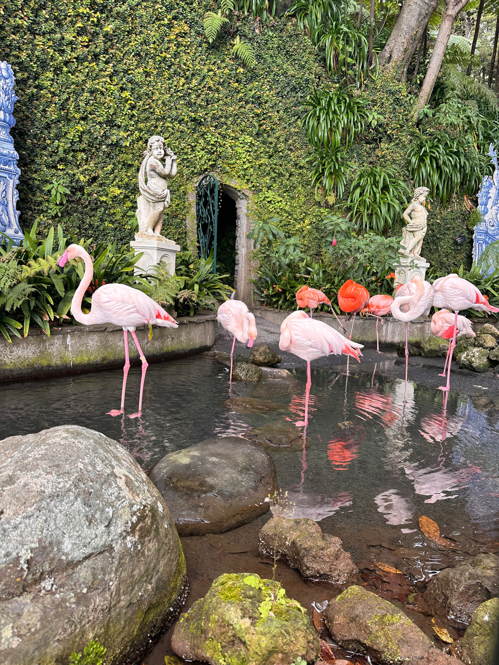 Tavs aktīvais piedzīvojums Madeirā!