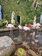 Tavs aktīvais piedzīvojums Madeirā!