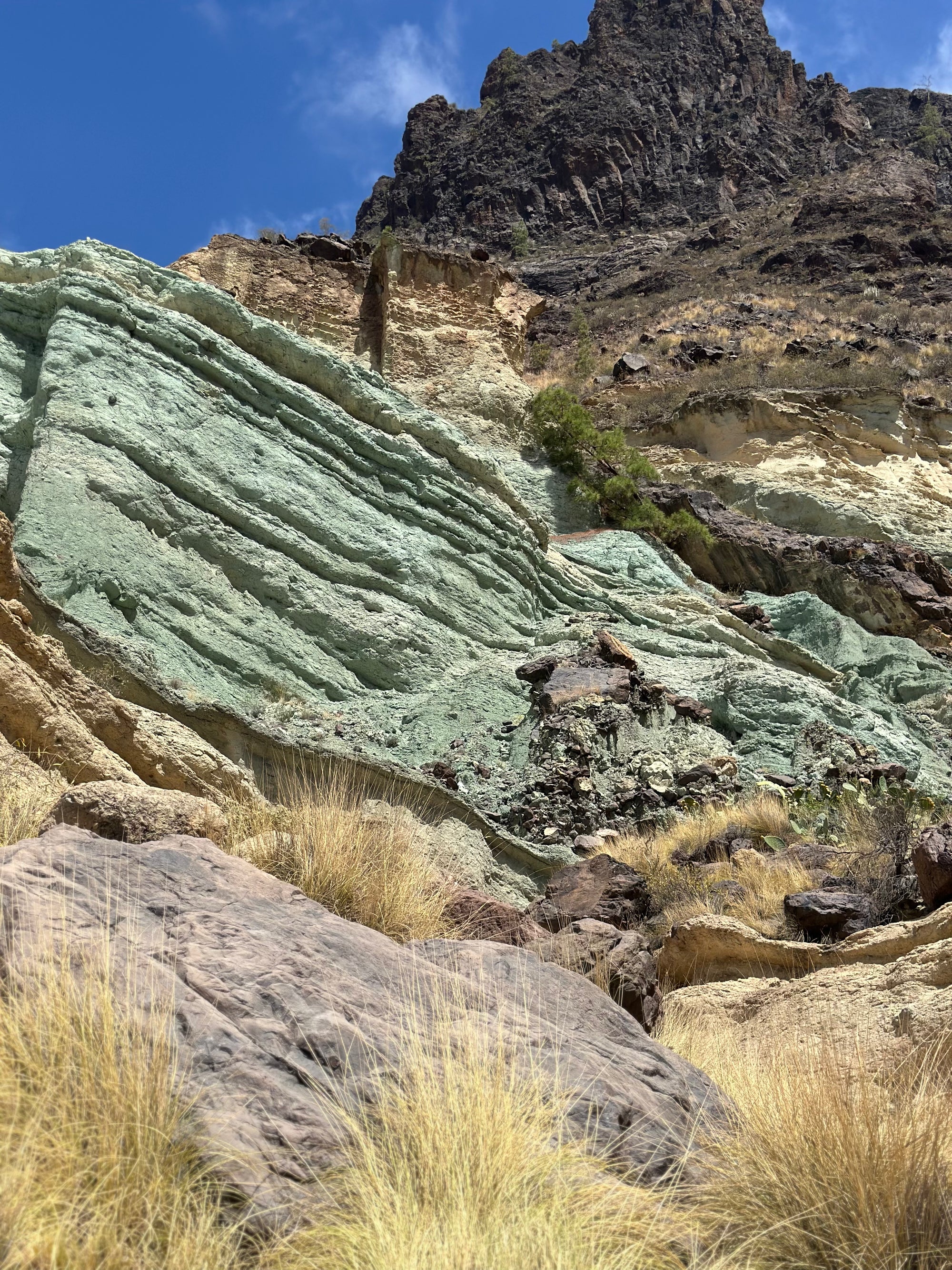 Pavasara pirmie soļi Grankanārijā