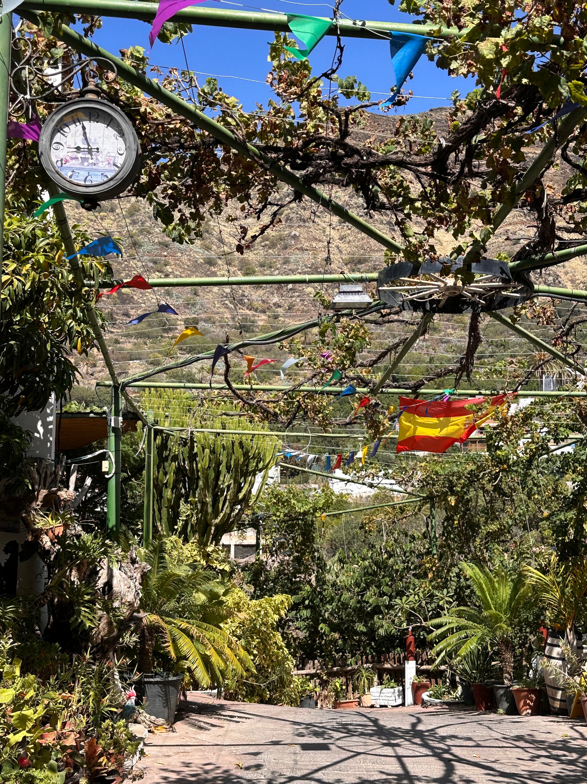 Pavasara pirmie soļi Grankanārijā