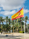 Ziemassvētku pasaka pie Vidusjūras - Costa Blanca piekraste