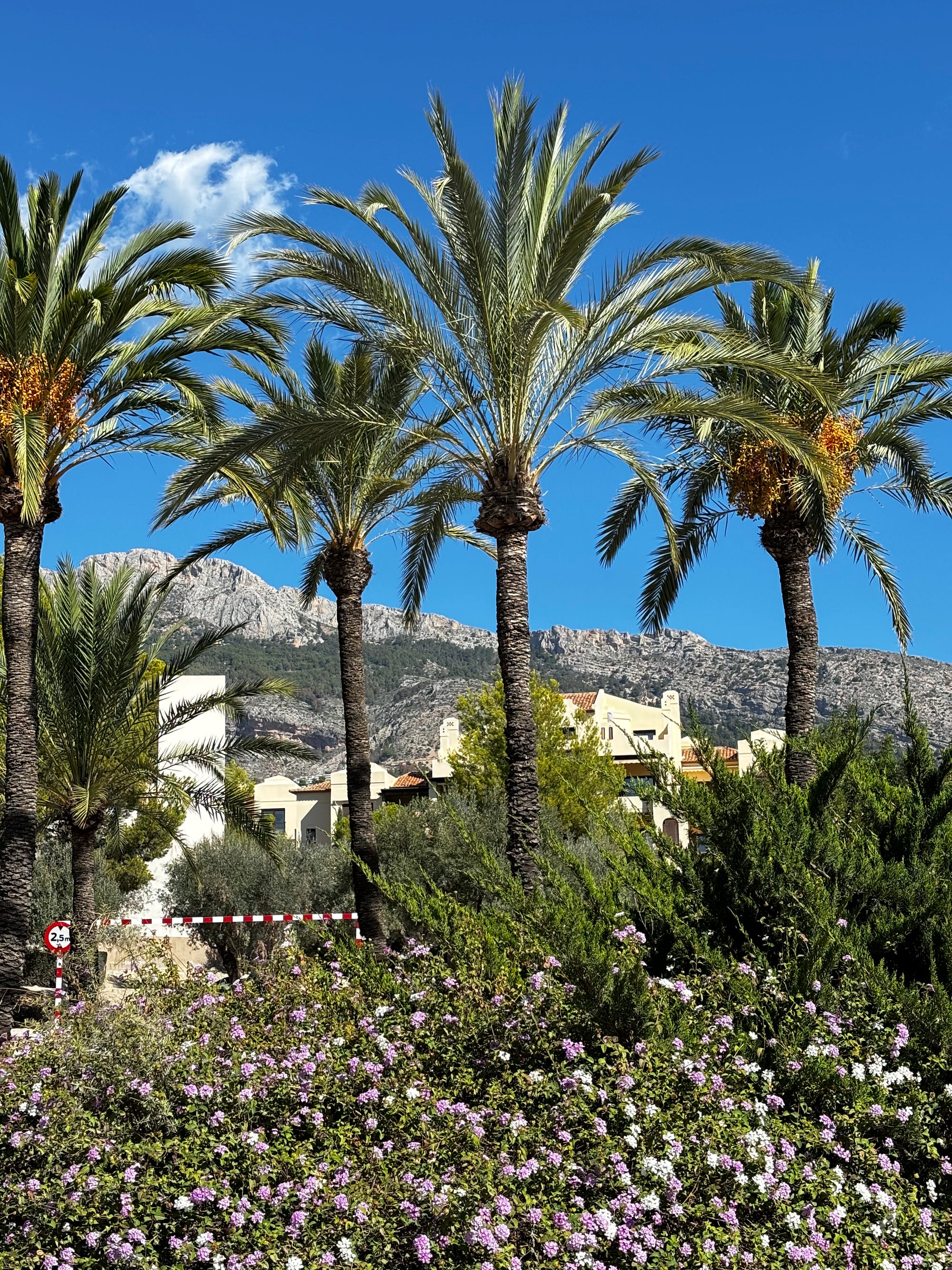 Bohēmas baudītājiem – māksla, jūra un dzīves garša Altea (Spānija)