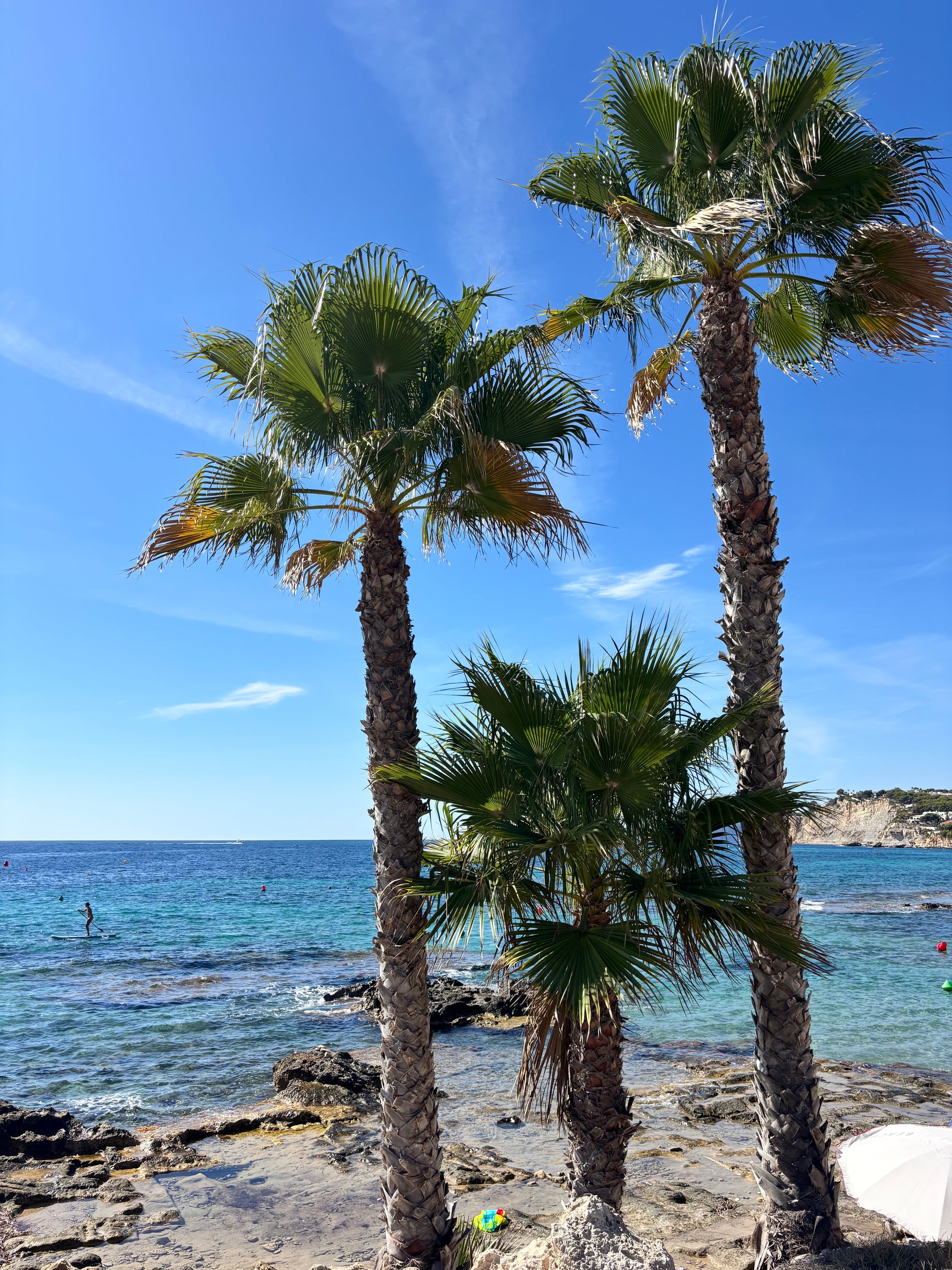 Starts vasarai: saule, jūra un klintis