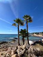 Vasaras sākums Spānijā: Vidusjūra un Tabarca