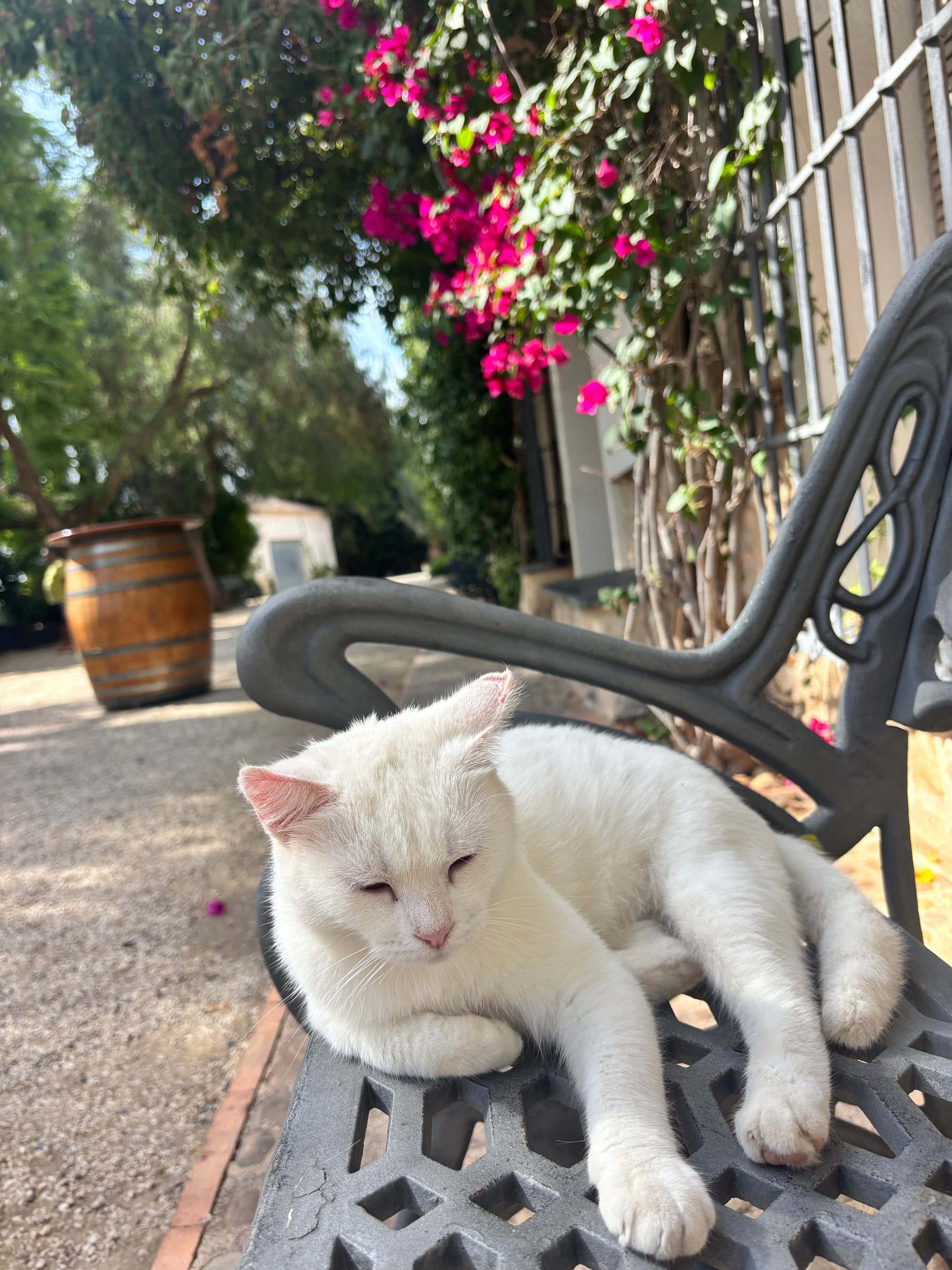 Atpūta Costa Blanca