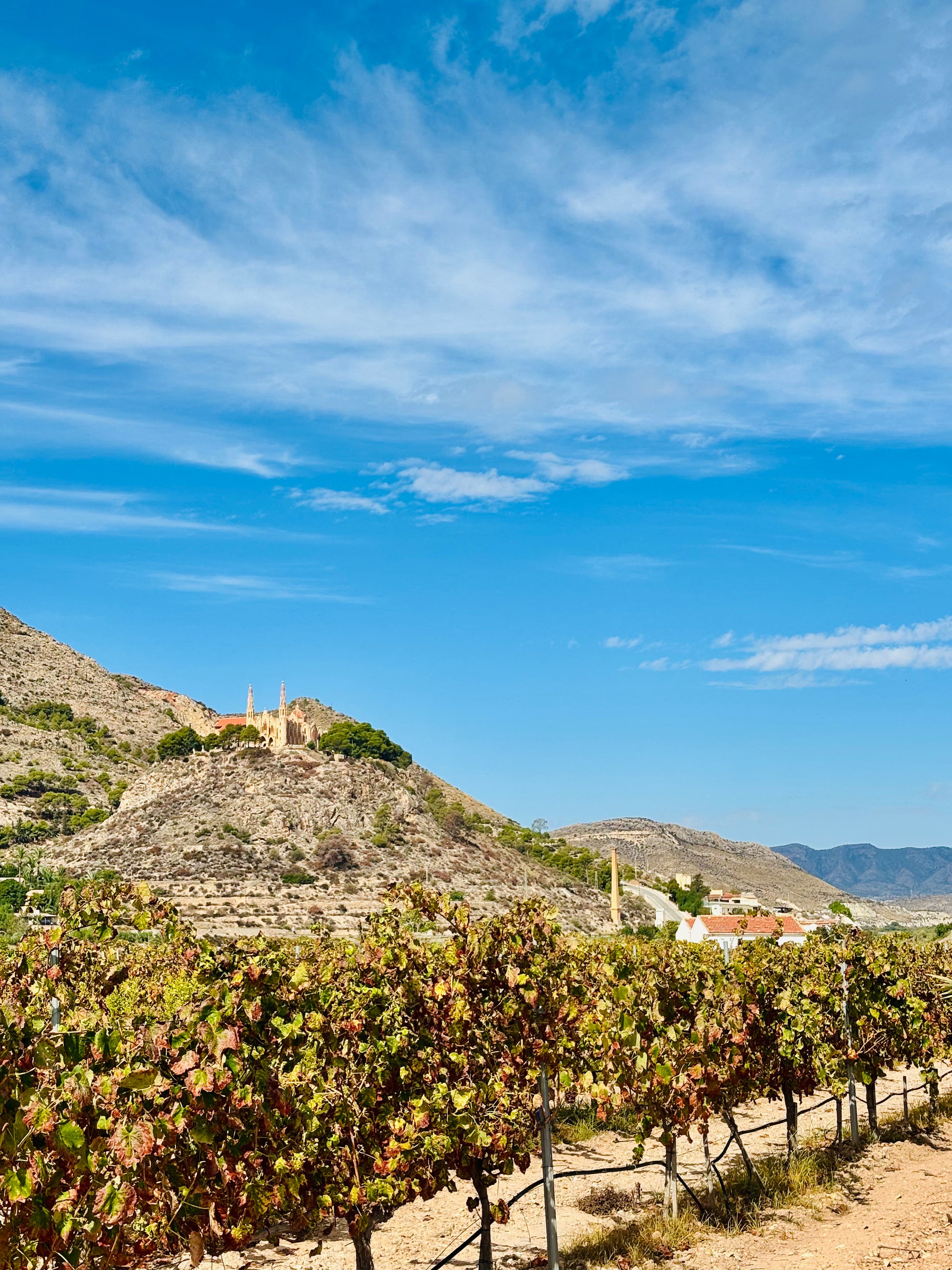 Atpūta Costa Blanca