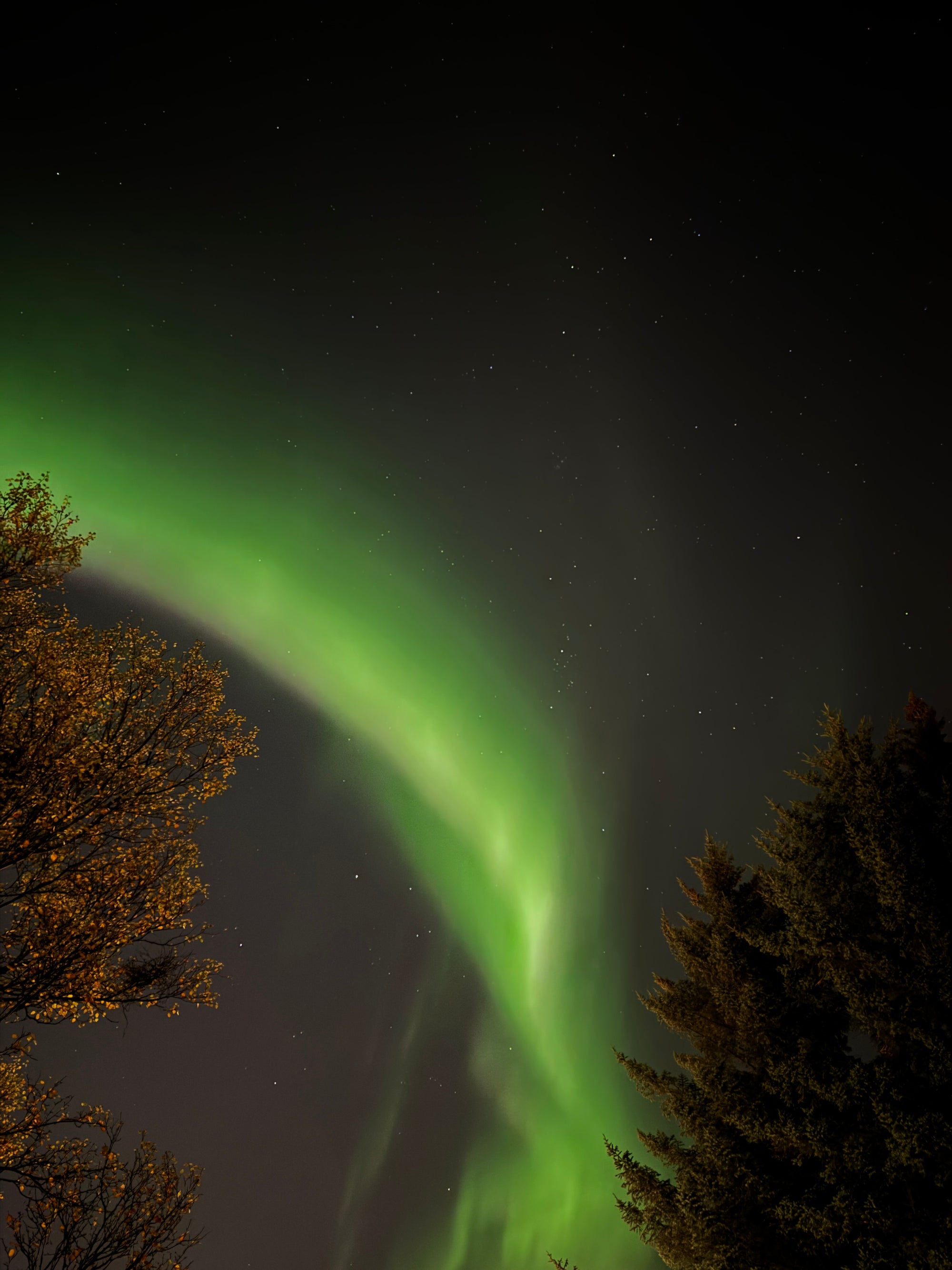 Islandes ziemas pasaka